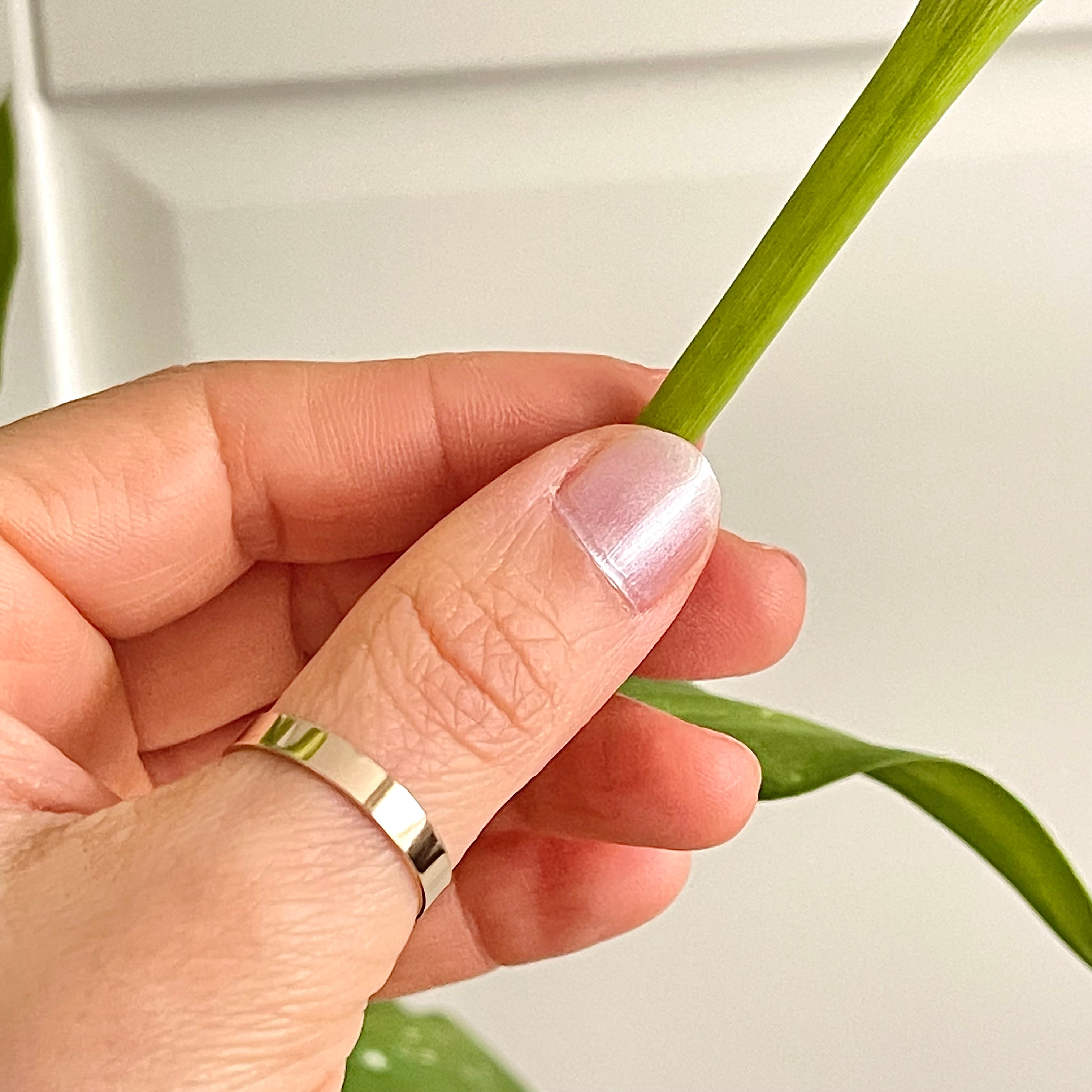 14k gold filled band ring for Women and Men - KIA Jewelry Rings Toronto