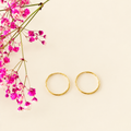 14k Gold Filled Hoop Earrings - Everyday Elegance